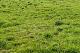  Terrain � vendre 570 m�