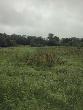  Terrain 308 m� Kunheim