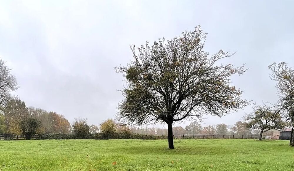 vente Maison - 5 pièce(s) - 92 m² Le Theil-en-Auge (14130)