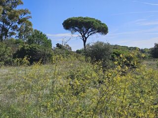  Maison 3 pi�ces 90 m� Puget-sur-argens