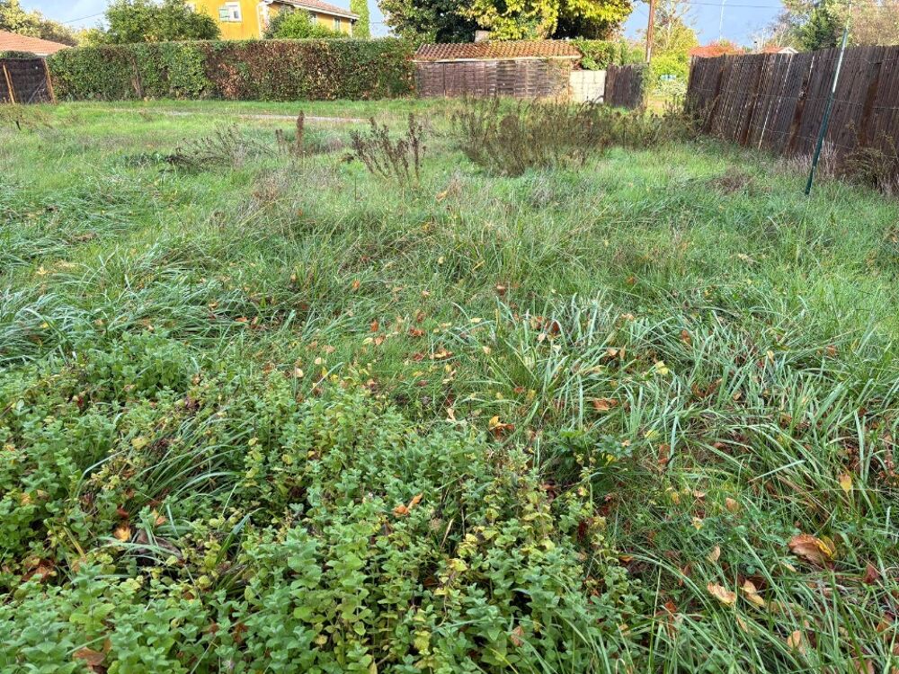 vente Terrain - 600 m² Andernos-les-Bains (33510)