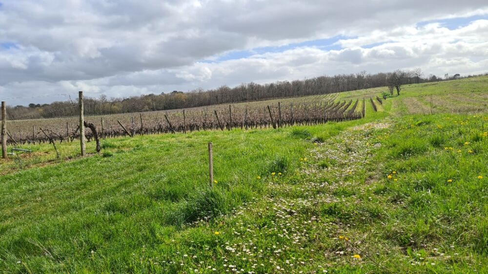 vente Terrain - 1600 m² Baigneaux (33760)