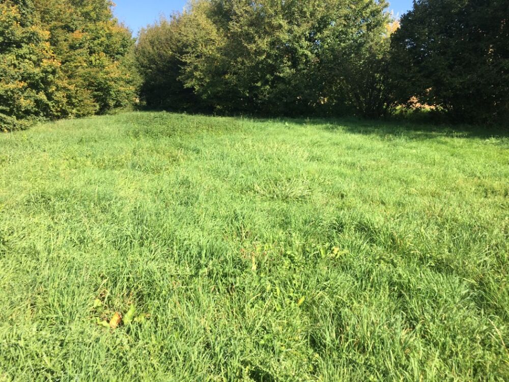 vente Terrain - 580 m² Saint-Cyr-sur-Menthon (01380)