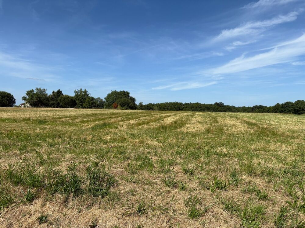 vente Terrain - 700 m² Vacquiers (31340)