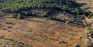 Terrain - 564 m²