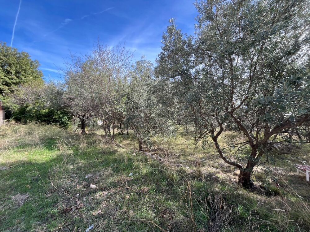 vente Maison - 5 pièce(s) - 120 m² Draguignan (83300)