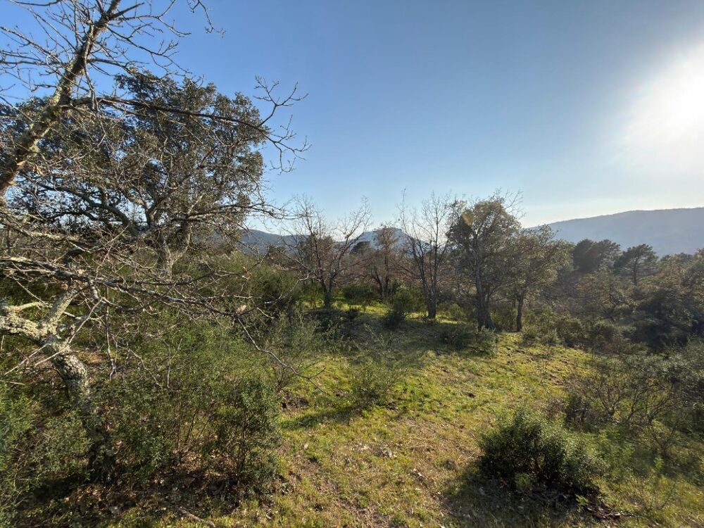 vente Terrain - 9800 m² Bagnols-en-Forêt (83600)