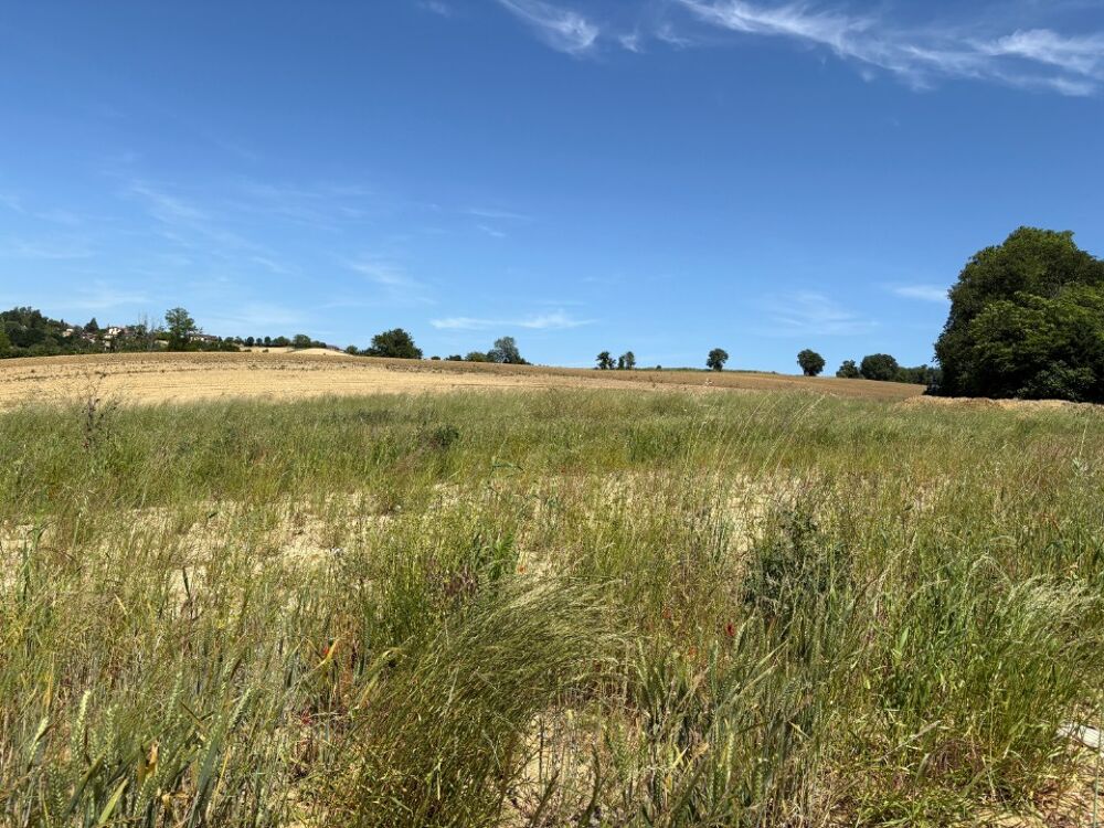 "Votre agence Maisons France Confort d'Aucamville vous p....