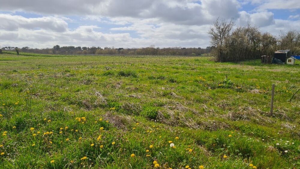 vente Terrain - 1600 m² Baigneaux (33760)