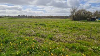  Terrain à vendre 1600 m²