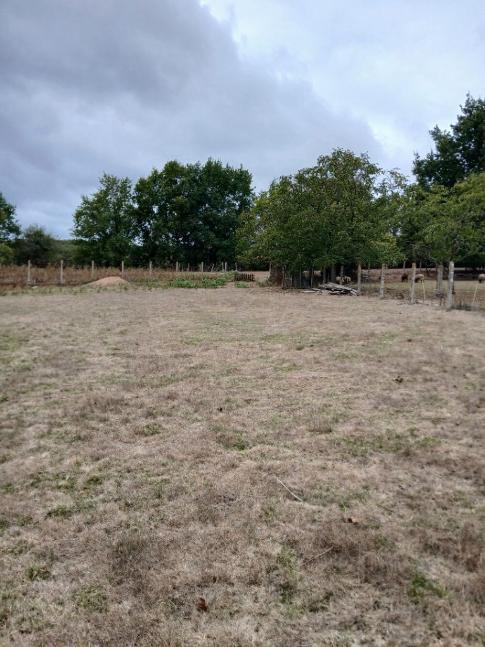 vente Maison - 4 pièce(s) - 85 m² Château-Guibert (85320)