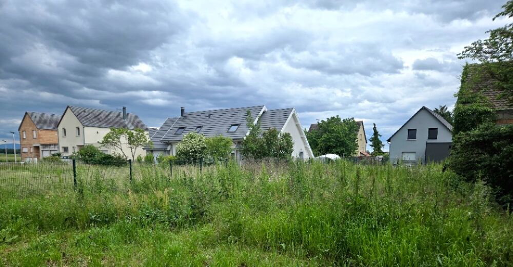 vente Terrain - 647 m² Jebsheim (68320)