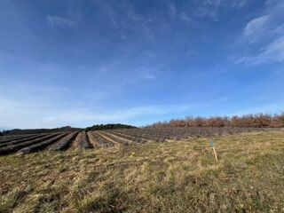  Terrain � vendre 617 m�