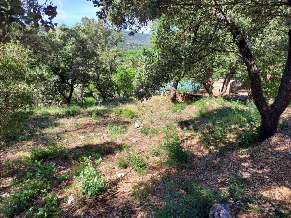 vente Terrain - 950 m² Sainte-Anastasie-sur-Issole (83136)