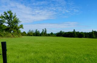  Terrain � vendre 985 m�