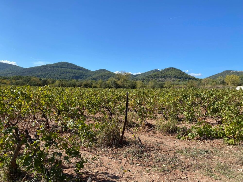 Terrain plat 700 m² - Belle opportunité au Castellet<BR/....