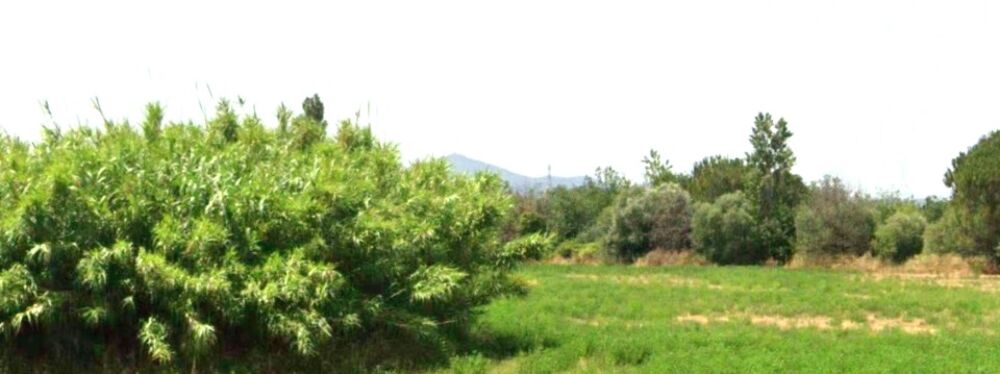 vente Maison - 4 pièce(s) - 119 m² Villeneuve-la-Rivière (66610)
