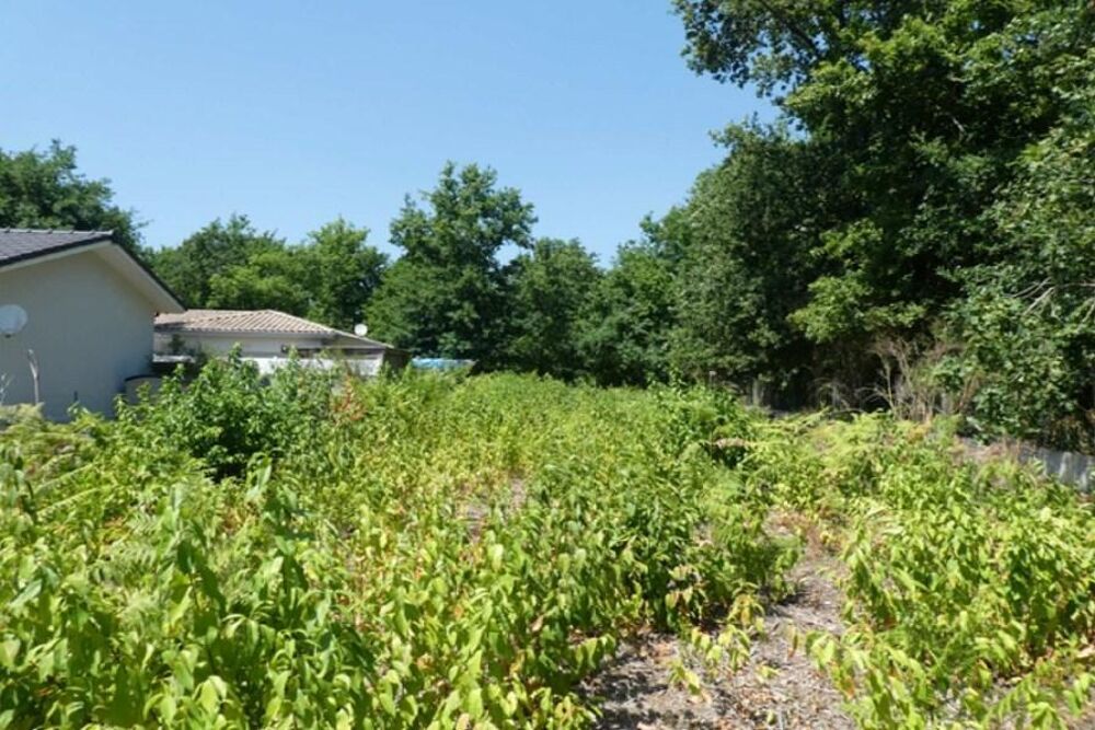 vente Terrain - 676 m² Audenge (33980)