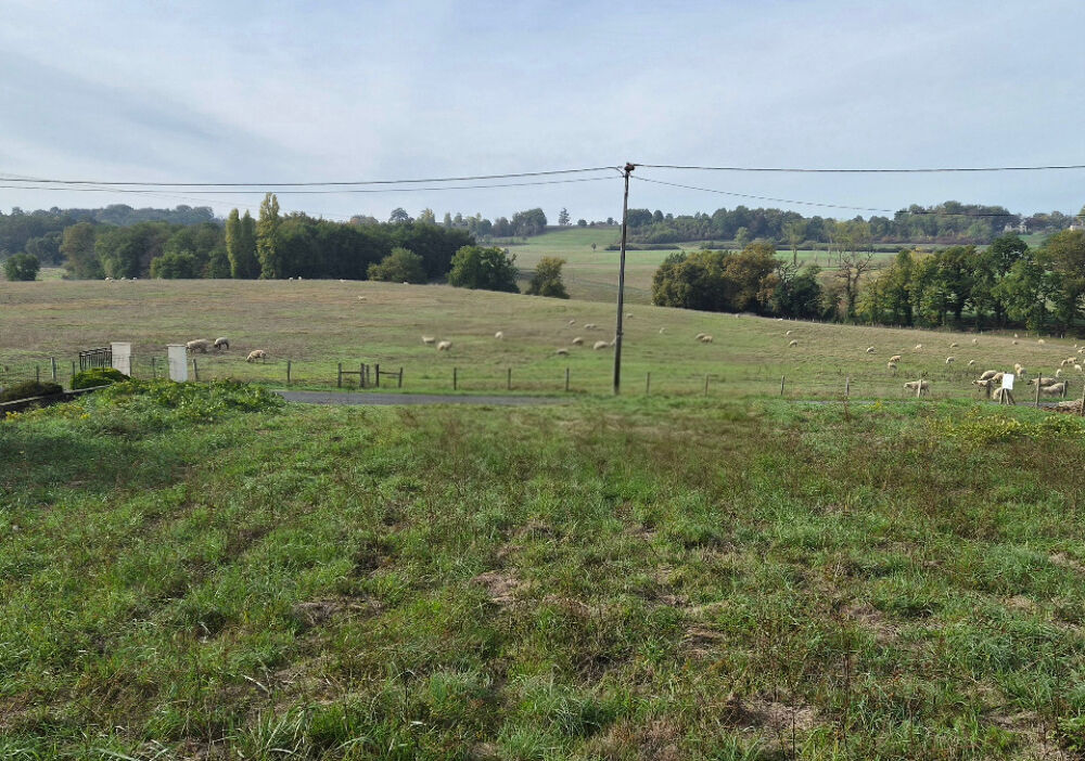 vente Terrain - 1370 m² Saint-Méard-de-Gurçon (24610)