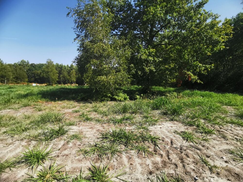 vente Maison - 5 pièce(s) - 107 m² Mios (33380)