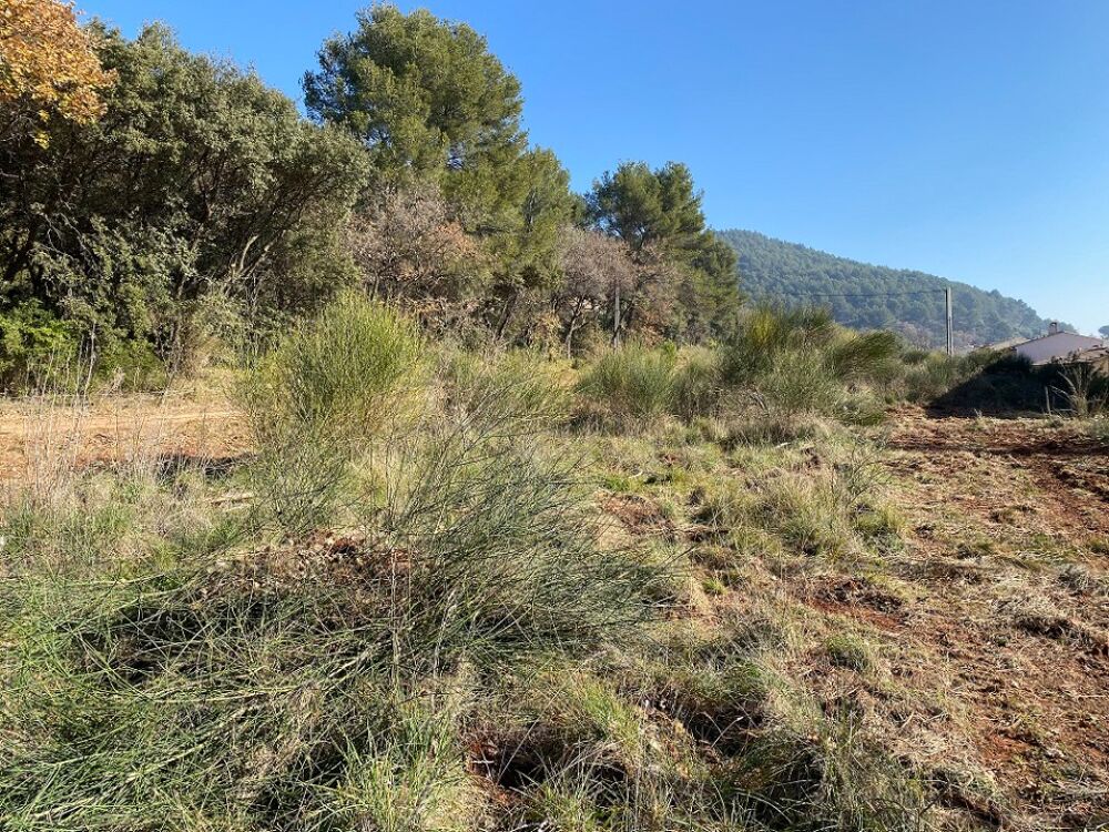 vente Terrain - 615 m² Puget-Ville (83390)