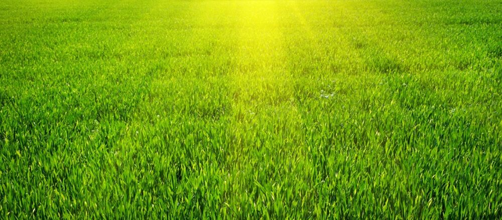 vente Terrain - 2100 m² Brionne (27800)