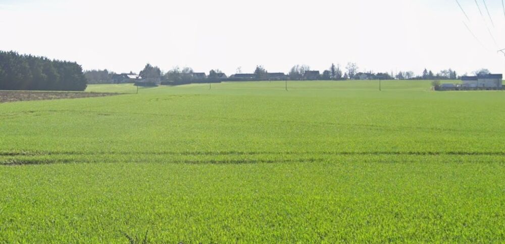 vente Terrain - 610 m² Rians (18220)