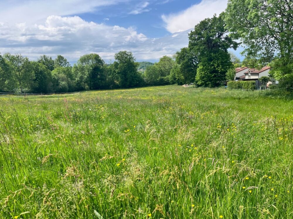 vente Terrain - 1600 m² Jussac (15250)