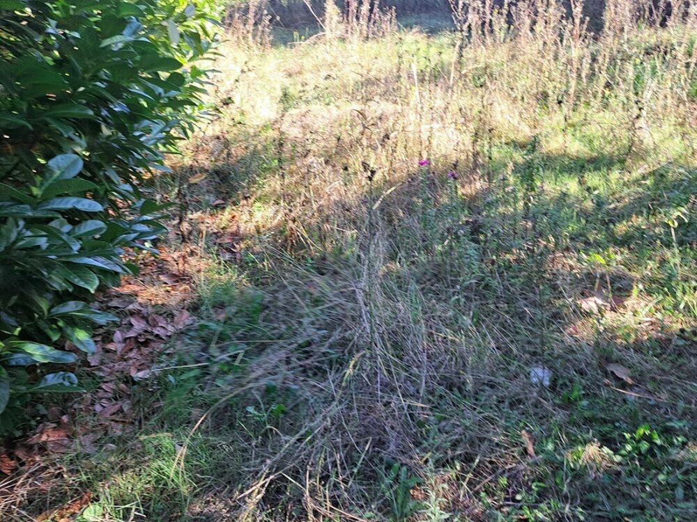 vente Terrain - 400 m² Gardanne (13120)