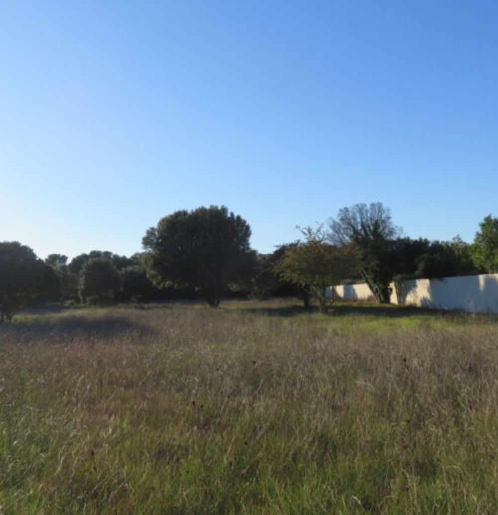 vente Terrain - 570 m² Orange (84100)