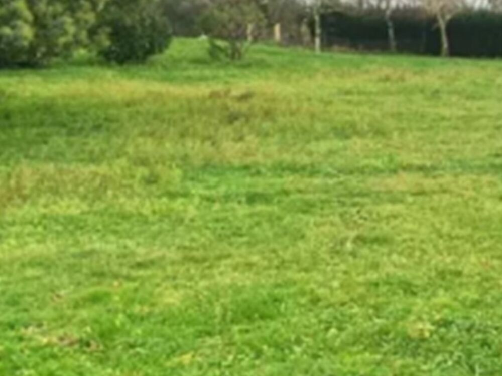 vente Terrain - 800 m² Bourg (33710)