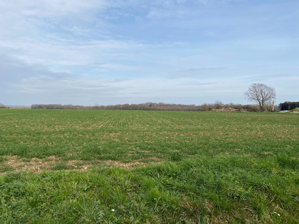 vente Terrain - 753 m² Plassay (17250)