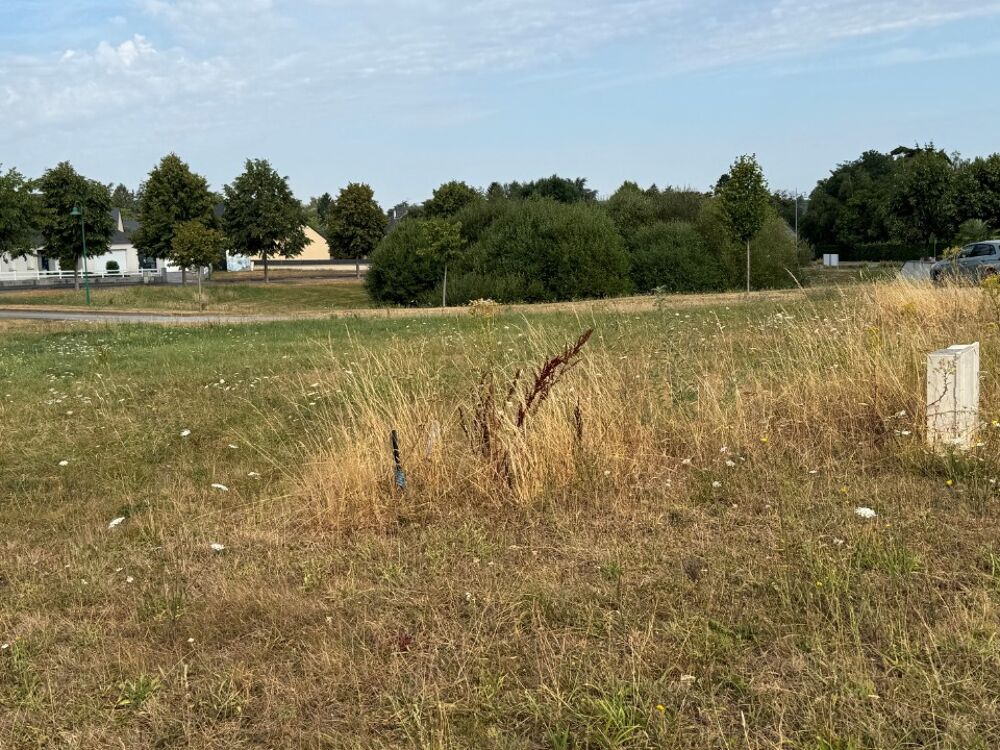 vente Maison - 5 pièce(s) - 89 m² Renazé (53800)