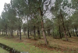  Terrain 560 m� Andernos-les-bains