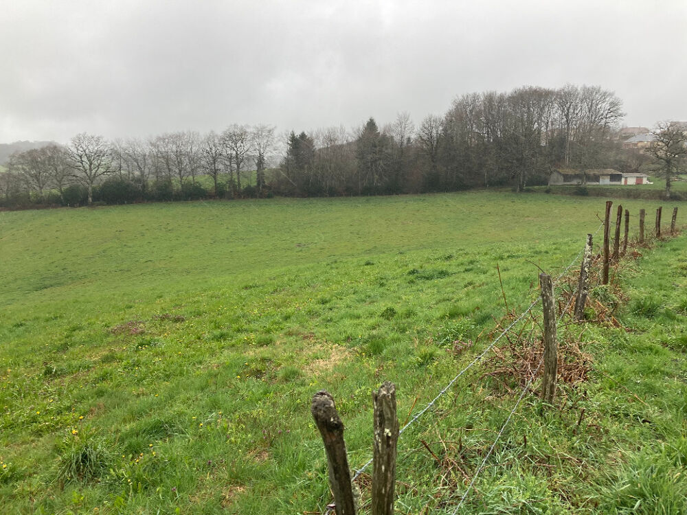 vente Terrain - 1160 m² Lafeuillade-en-Vézie (15130)