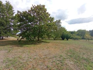  Terrain à vendre 980 m²