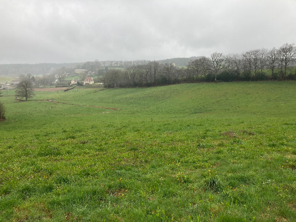 vente Terrain - 1160 m² Lafeuillade-en-Vézie (15130)