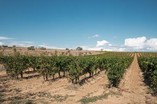  Maison  vendre 7 pices 139 m