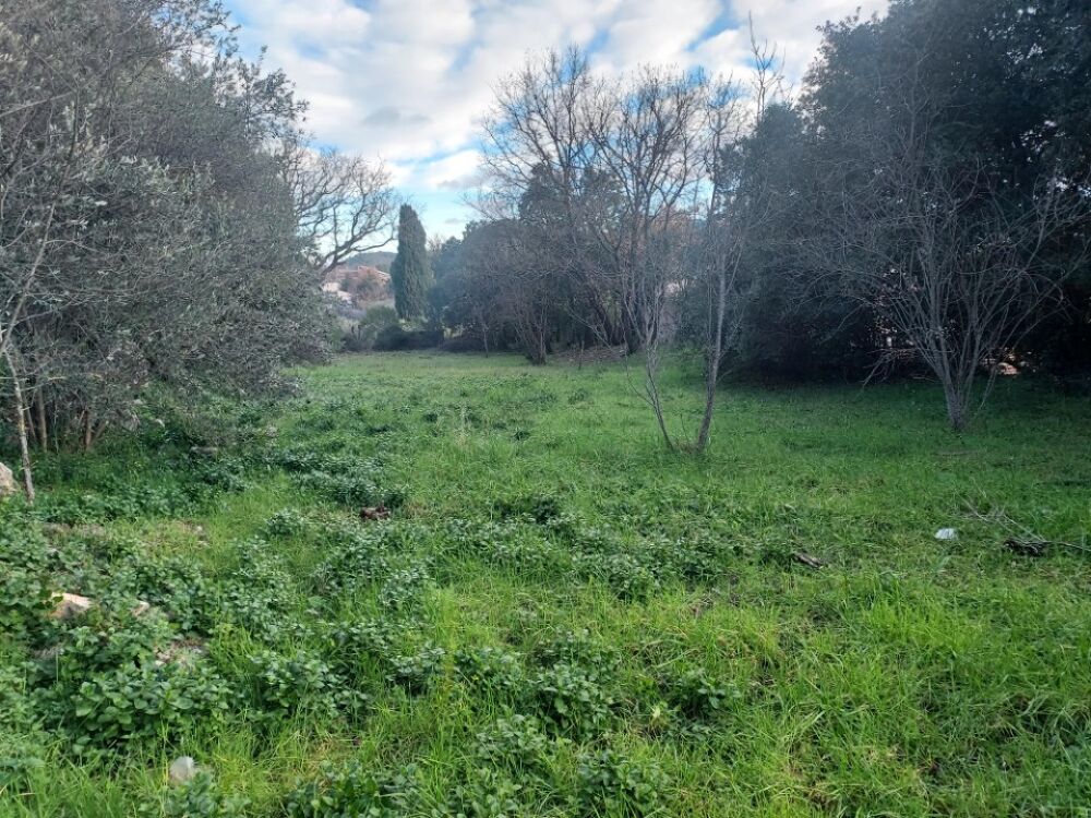 vente Maison - 4 pièce(s) - 80 m² Camps-la-Source (83170)