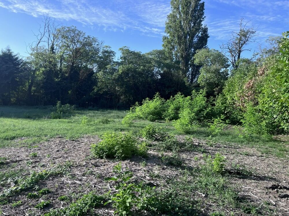 vente Terrain - 930 m² Montboucher-sur-Jabron (26740)