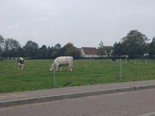  Terrain � vendre 500 m�