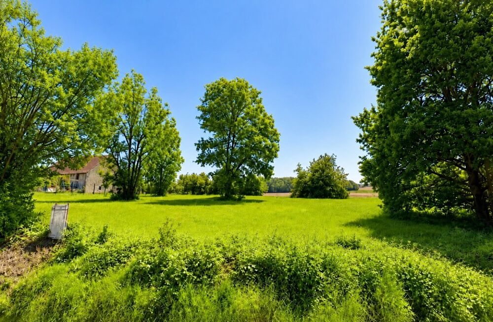vente Maison - 6 pièce(s) - 100 m² Saint-Martin-du-Boschet (77320)