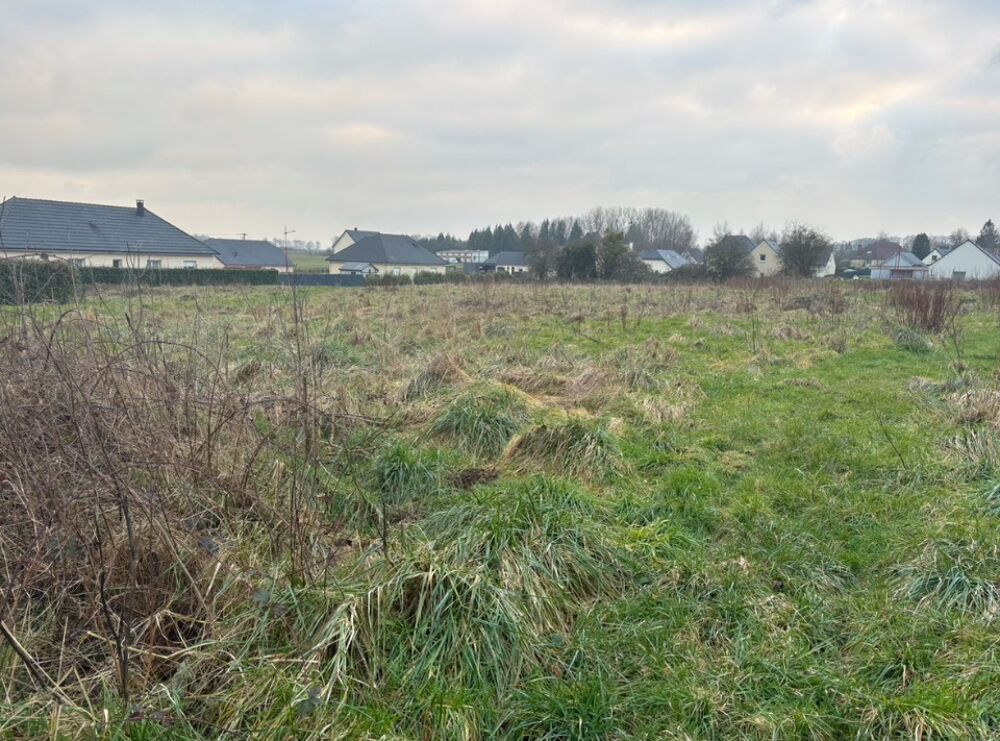 vente Terrain - 620 m² Envronville (76640)