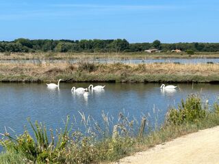  Terrain � vendre 433 m�