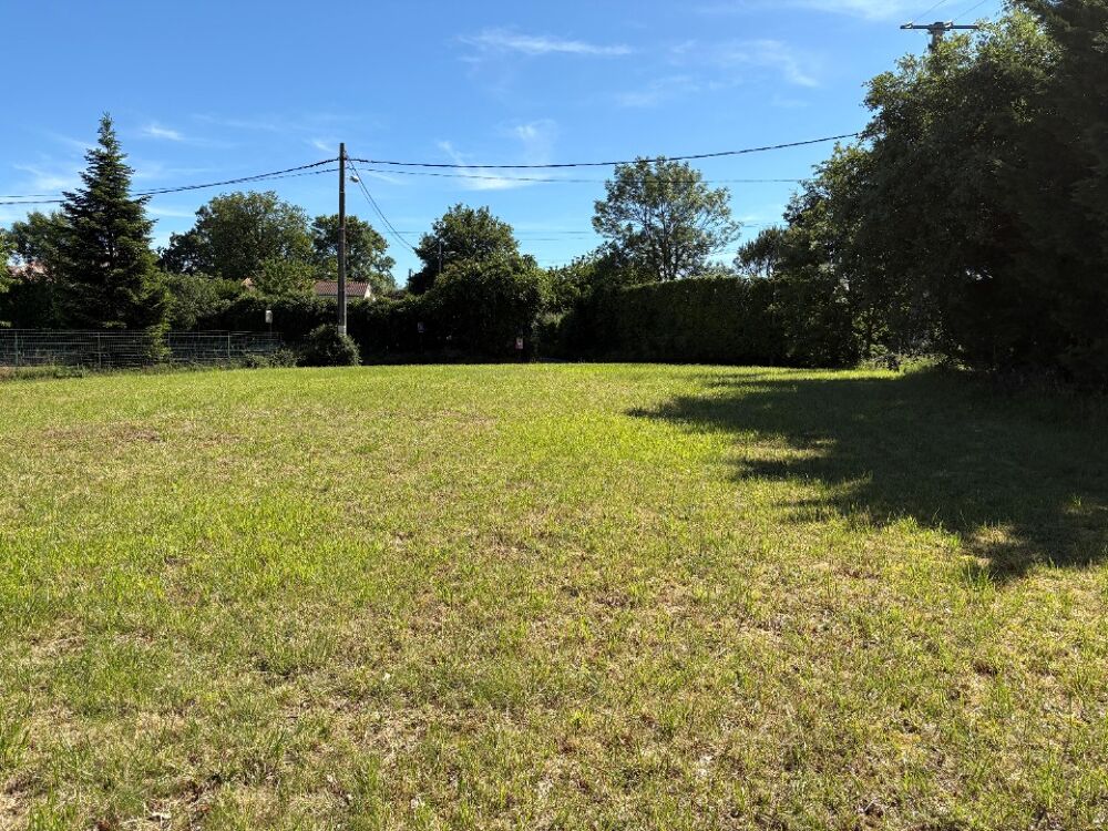 vente Maison - 5 pièce(s) - 91 m² Castres (81100)