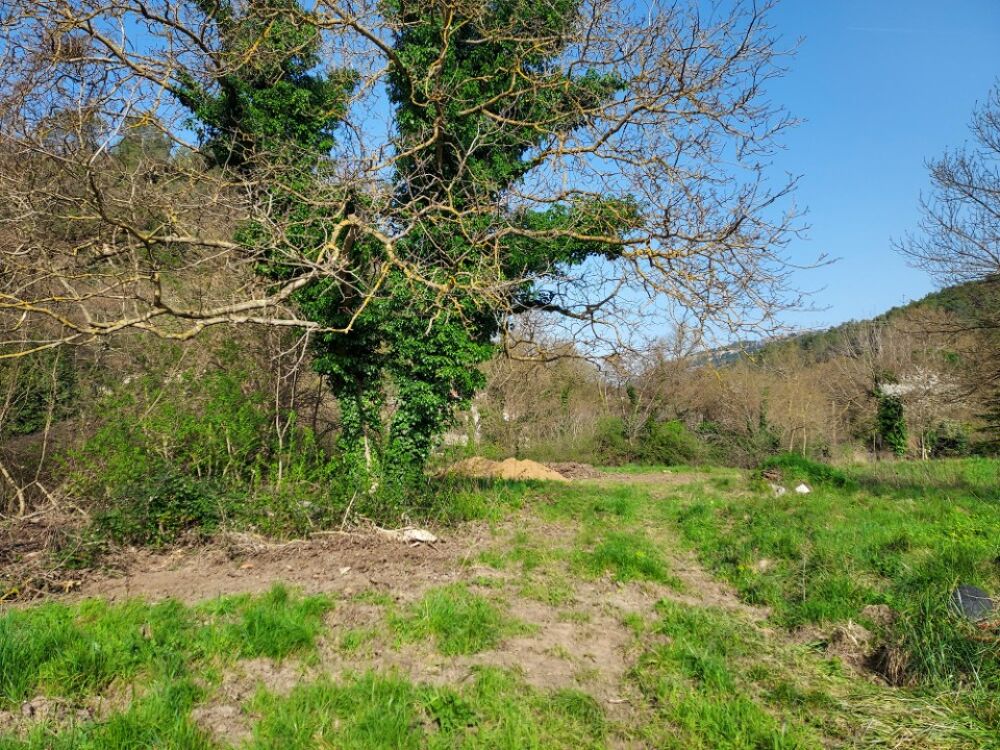 vente Terrain - 1567 m² Belgentier (83210)