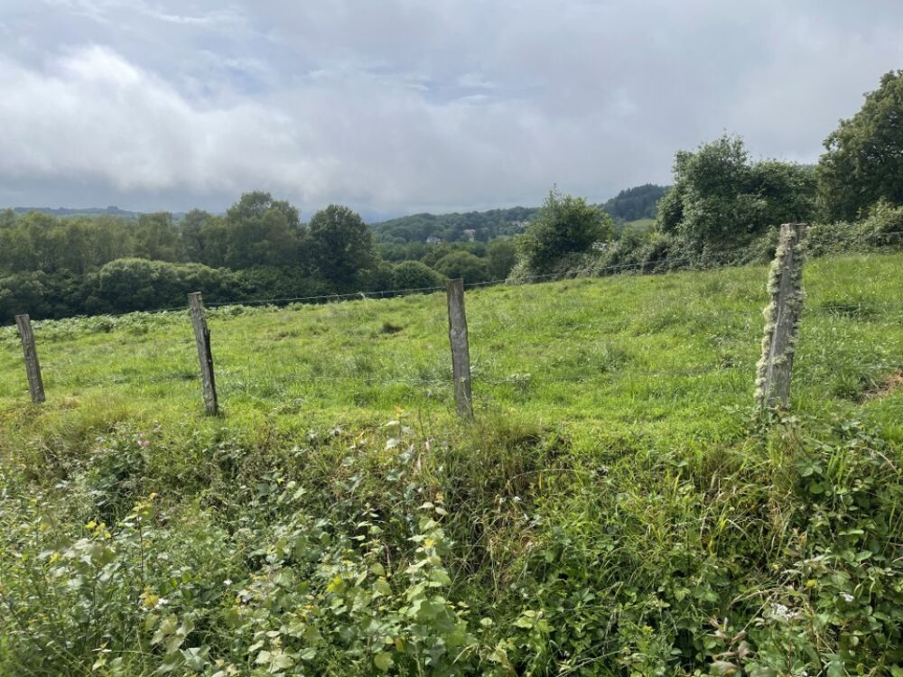 vente Terrain - 15000 m² Razès (87640)