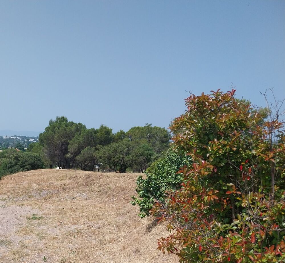 vente Terrain - 514 m² Fréjus (83600)