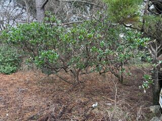  Maison � vendre 5 pi�ces 180 m�