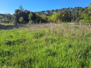  Terrain � vendre 305 m�